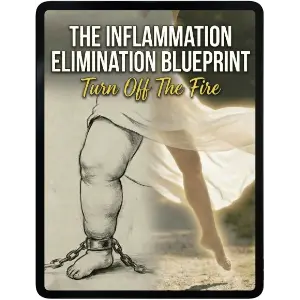 Bonus 2 The Inflammation Elimination Blueprint